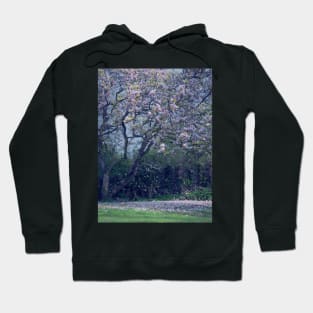 Magnolia Hoodie